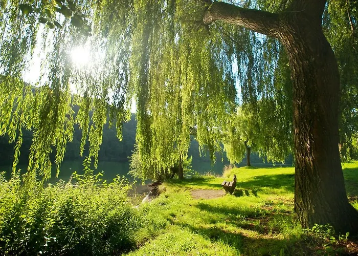 Am Sauerbrunnen Vakantiehuis